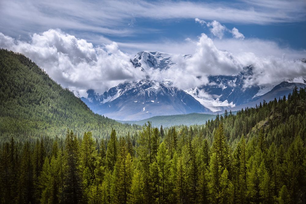 Photograph by Алексей Козлов