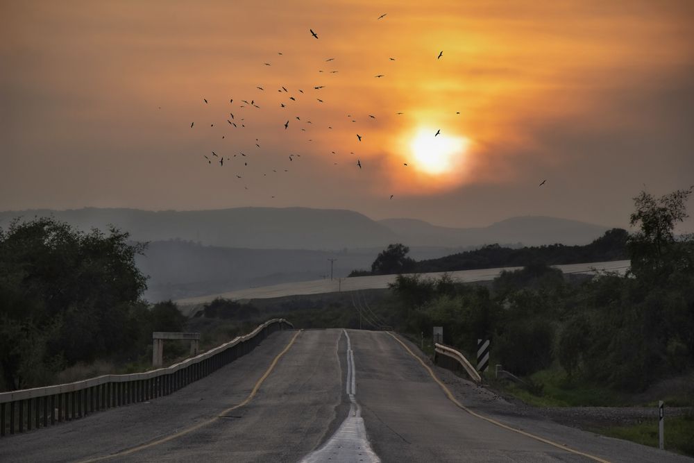 Photograph by Вадим Городницкий