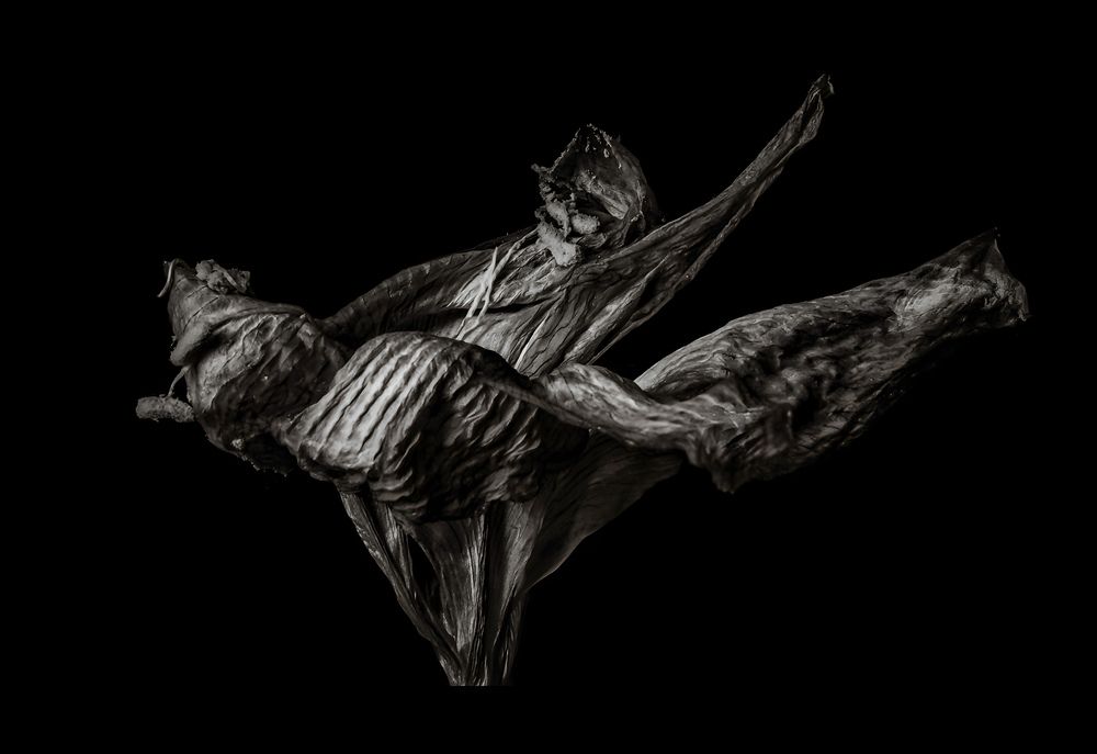 Ballerina
