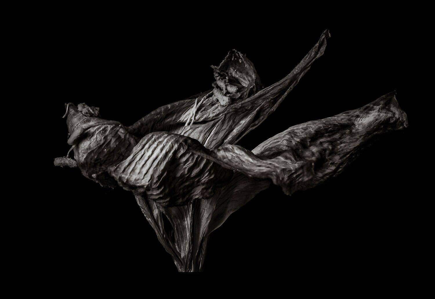 Ballerina