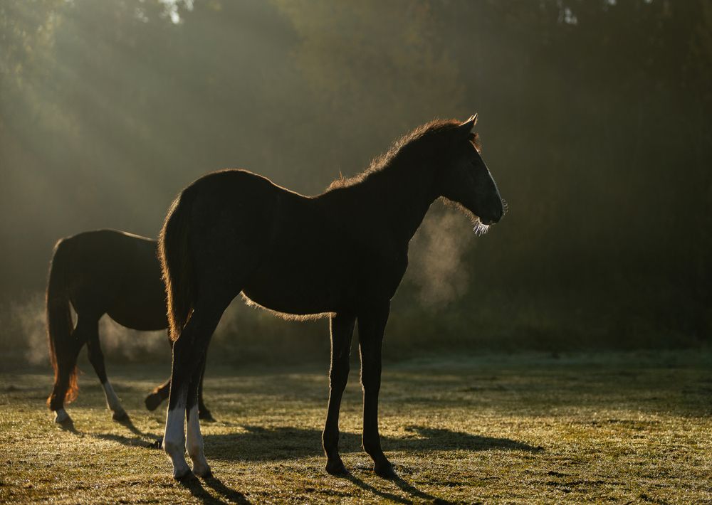 Photograph by Gubina Anastasia