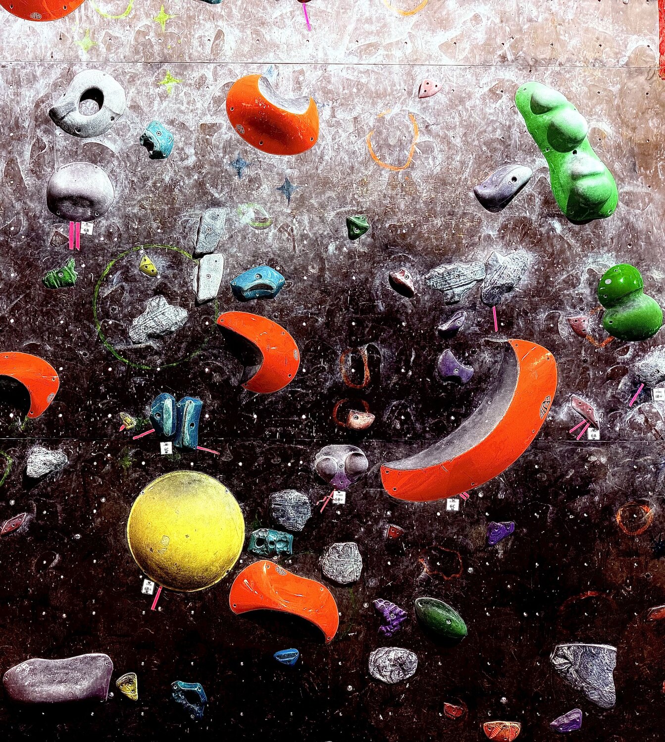 Photo #13485820