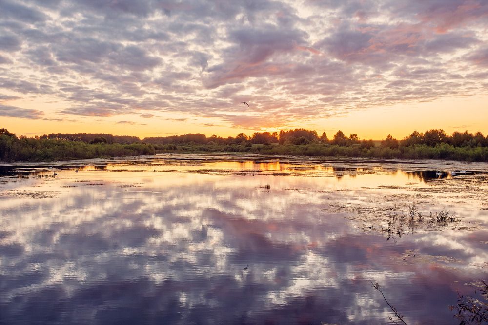 Photograph by Светлана Ващенко