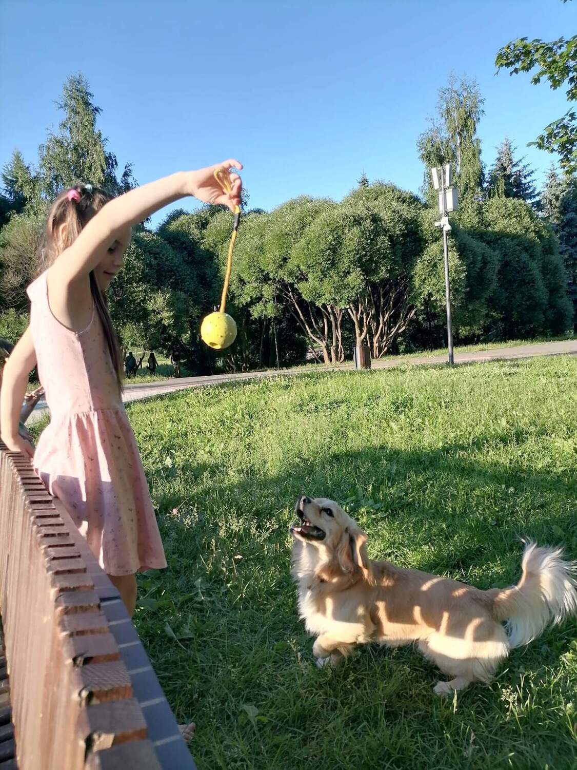 Полет левитационный для Арчи.