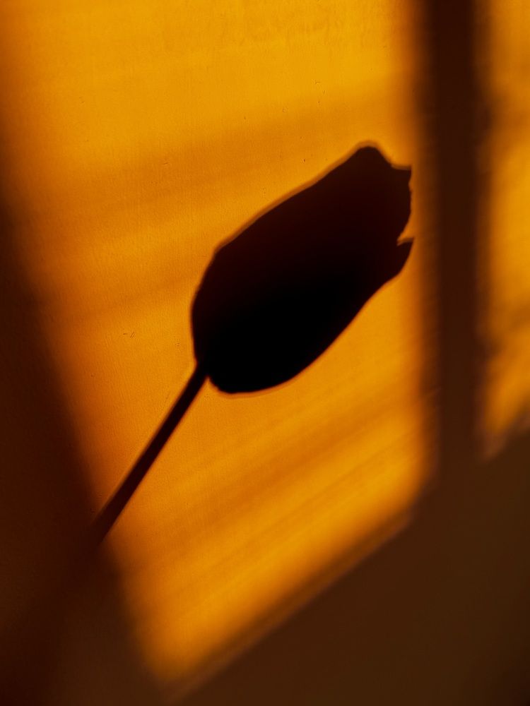 Photograph by Алла Киселева