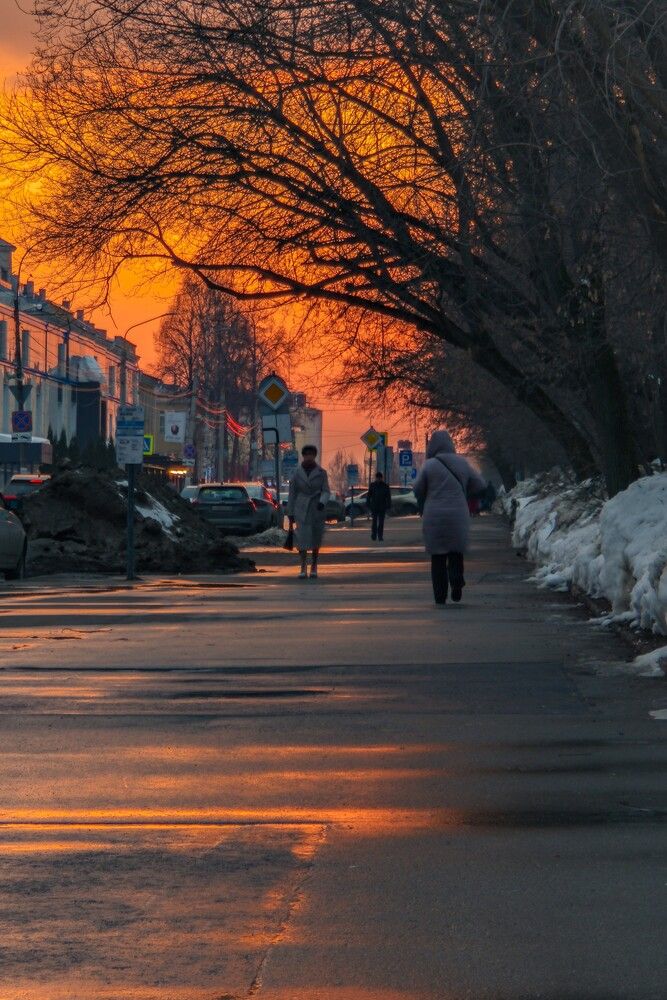 Photograph by Ксения Шилина