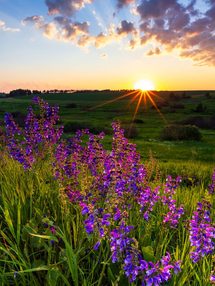 Photograph by Кузнецов Александр
