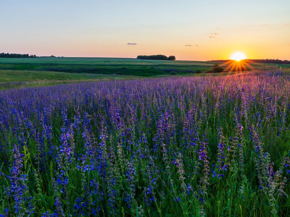 Photograph by Кузнецов Александр