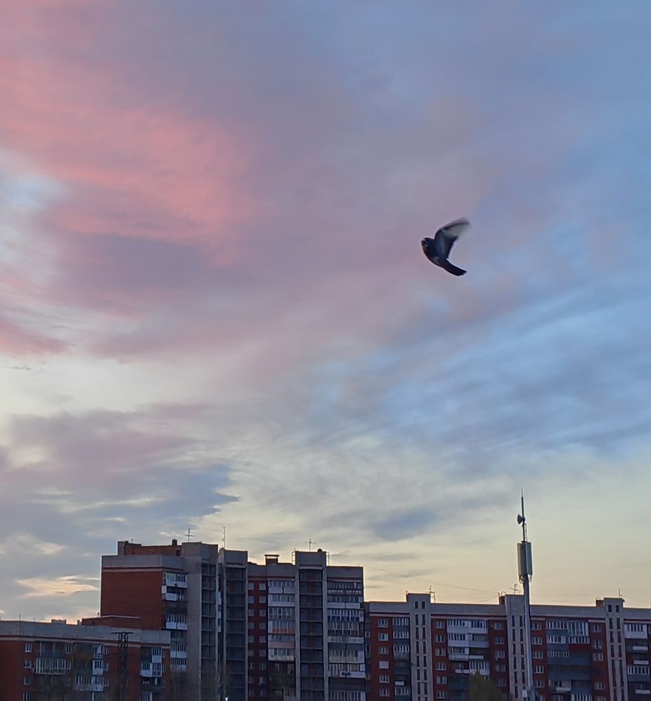 Photograph by Алёна С-К