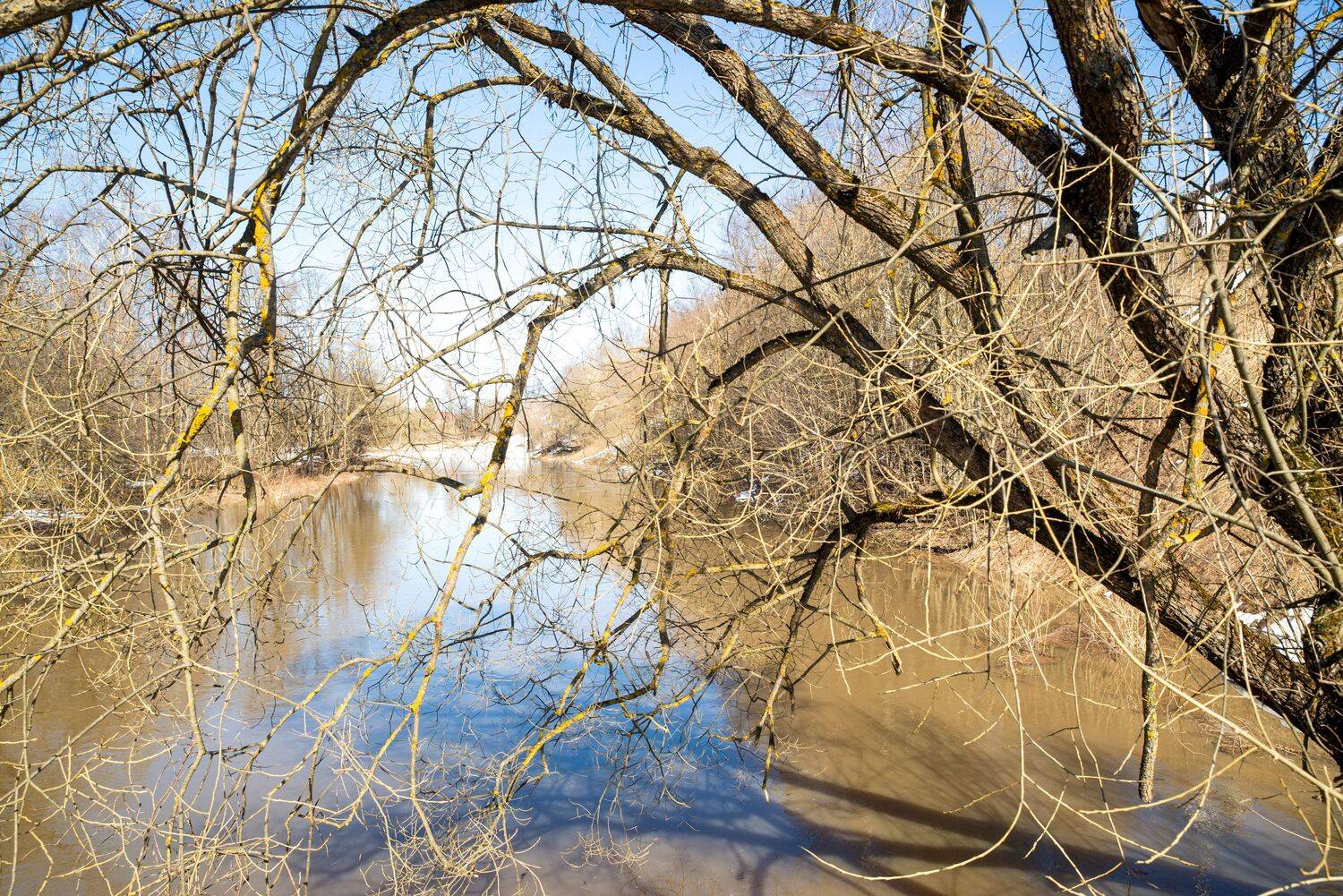 Начало весны. Голые ветки над рекой