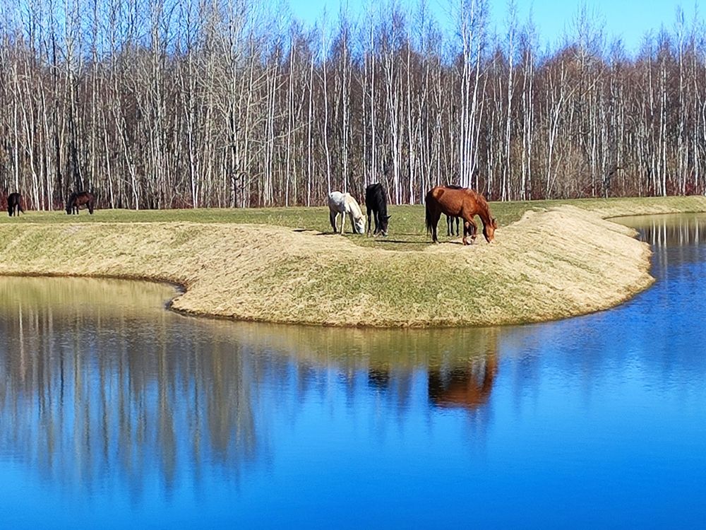Photograph by Елена Белькова