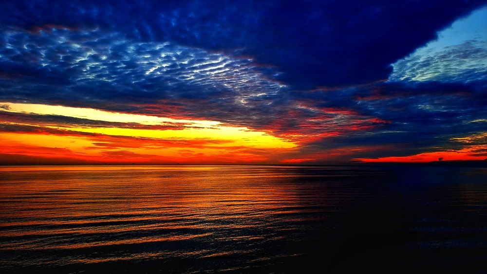 Photograph by Алена Самошина