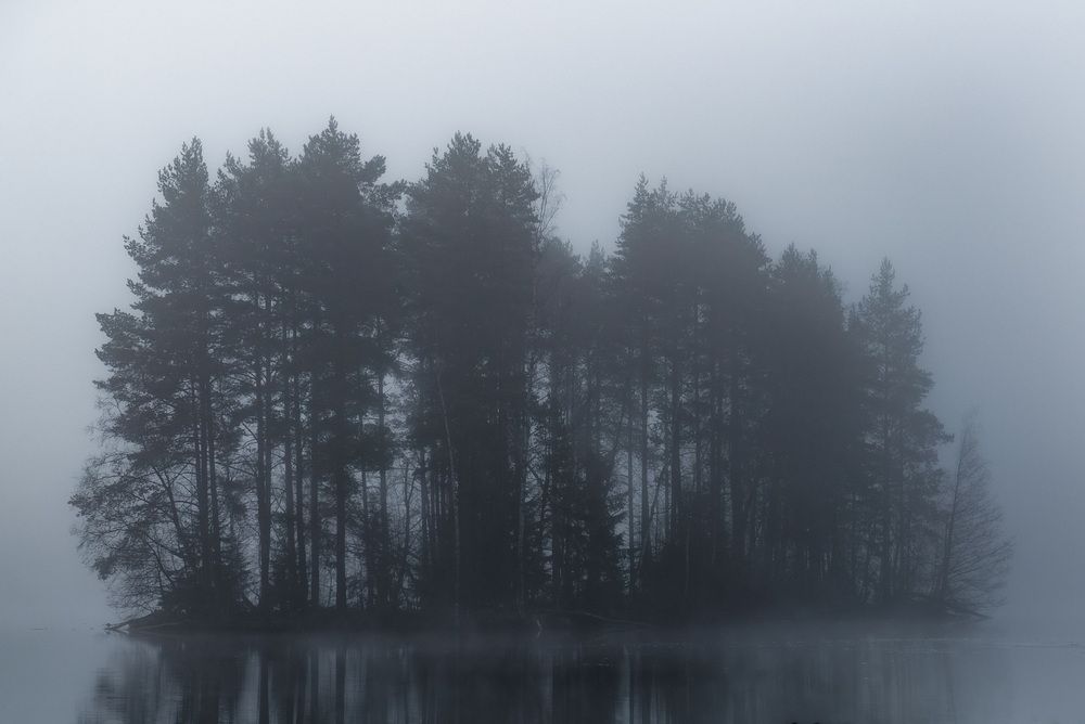 Photograph by Андреев Роман