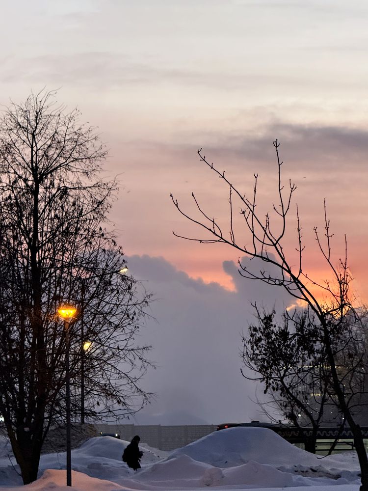 Photograph by Елена Чулюнина