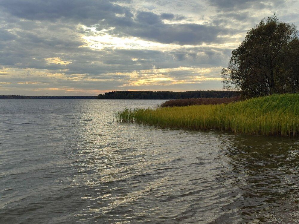 Photograph by Василиса