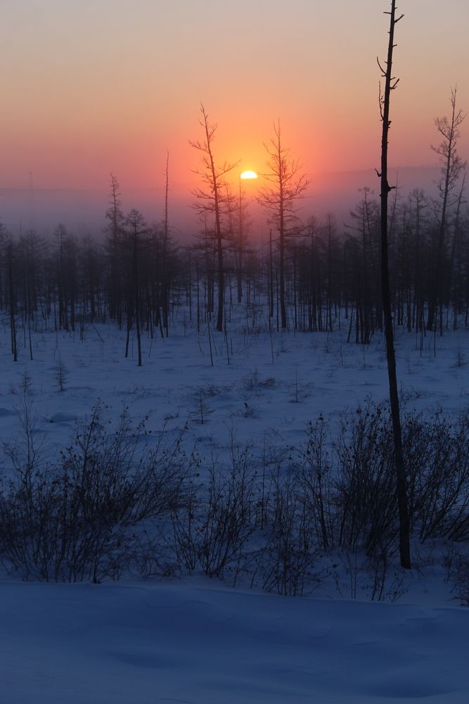 Photograph by Михаил Мархинин