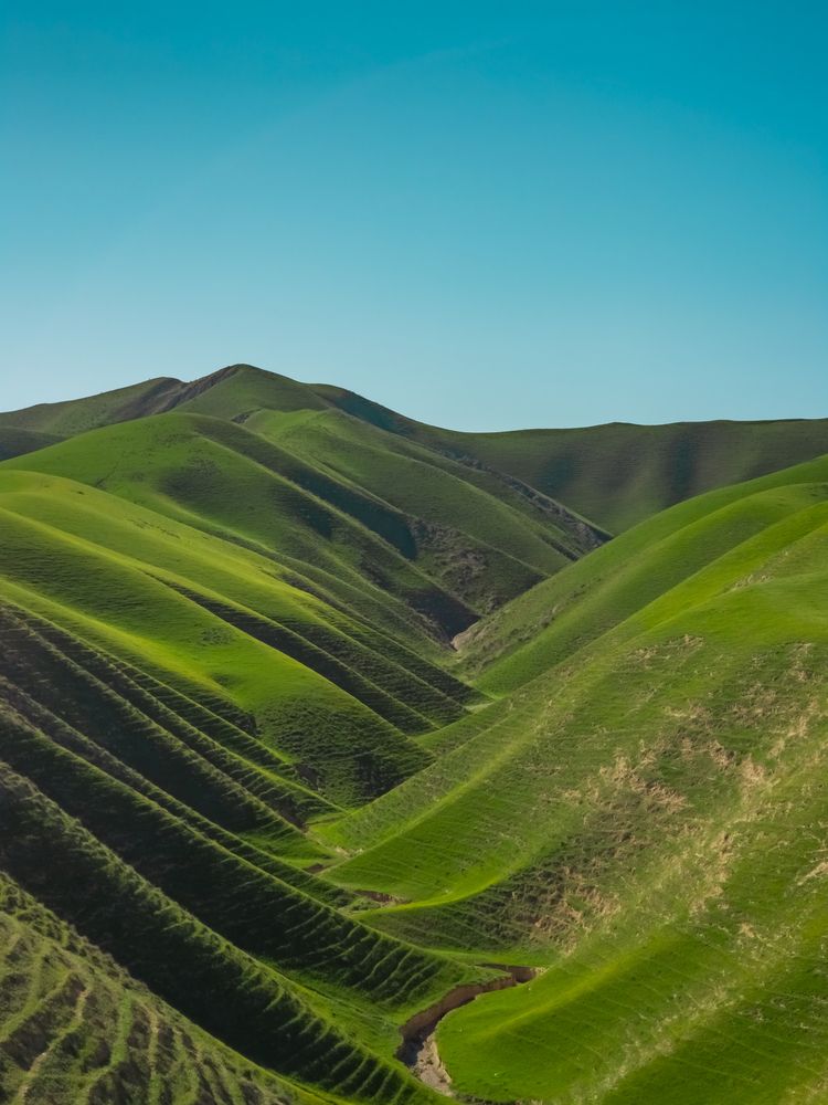 Rhythm of the Earth