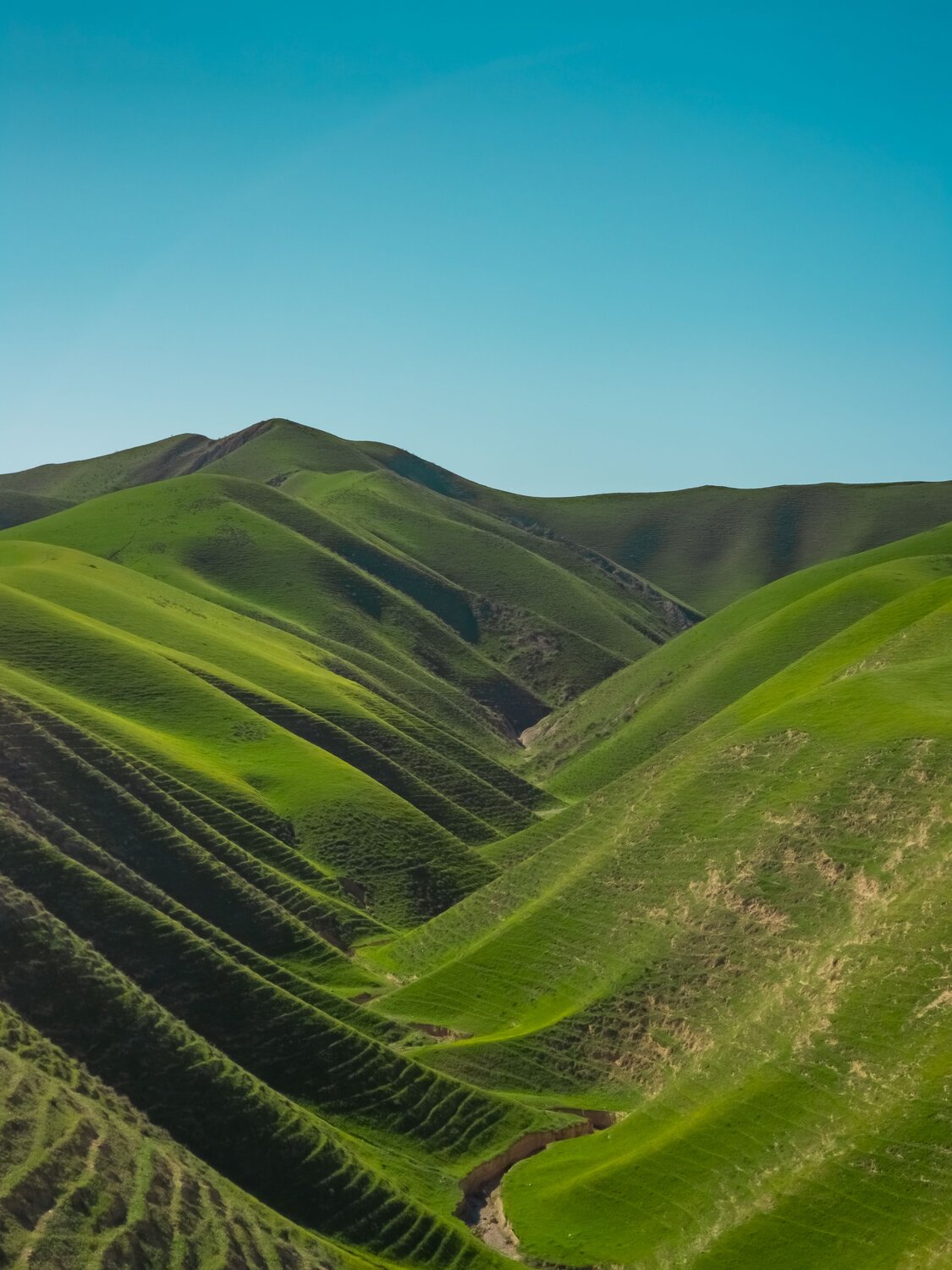 Rhythm of the Earth