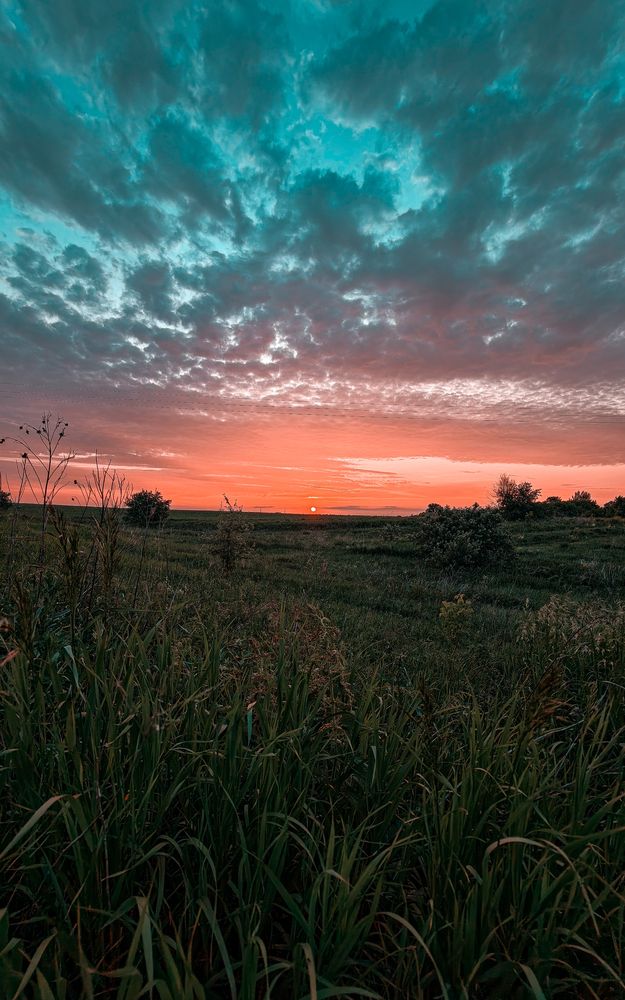 Photograph by Alexander Lonsdale