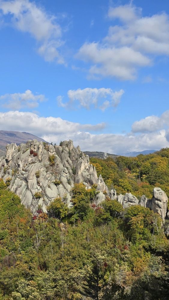 Photograph by Галина Муравьева