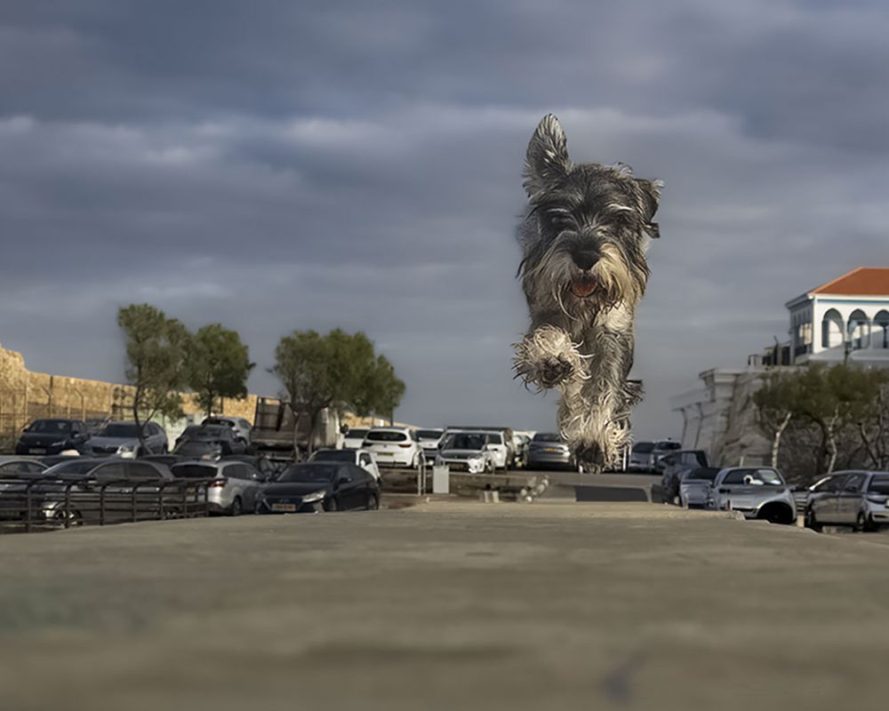 Photograph by Lev Tsenter