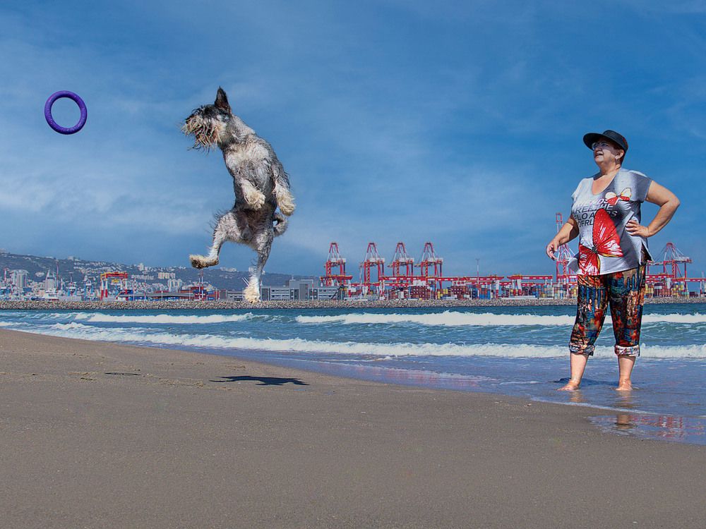 Photograph by Lev Tsenter