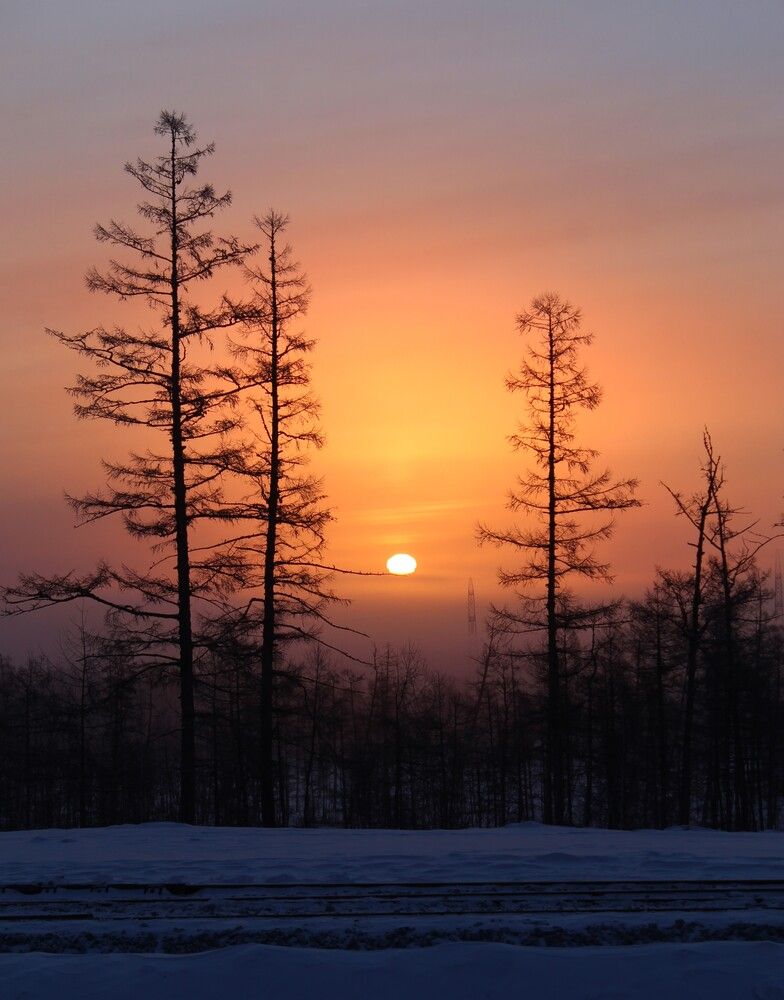 Photograph by Михаил Мархинин