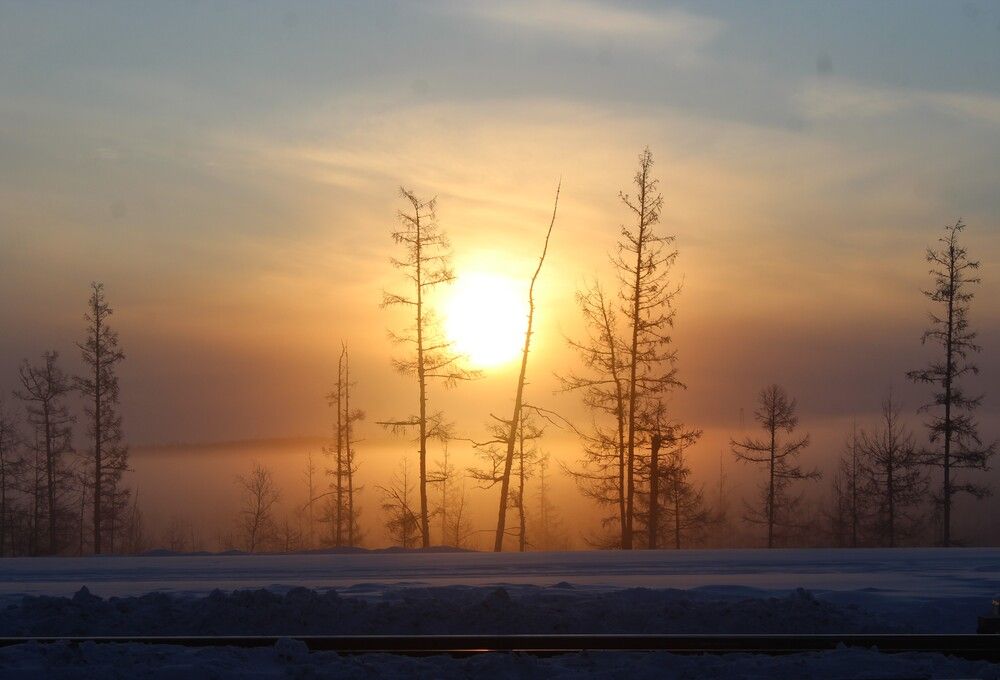Photograph by Михаил Мархинин