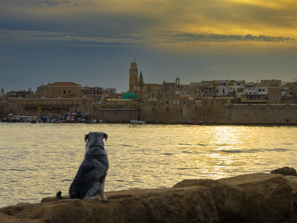 Photograph by Lev Tsenter
