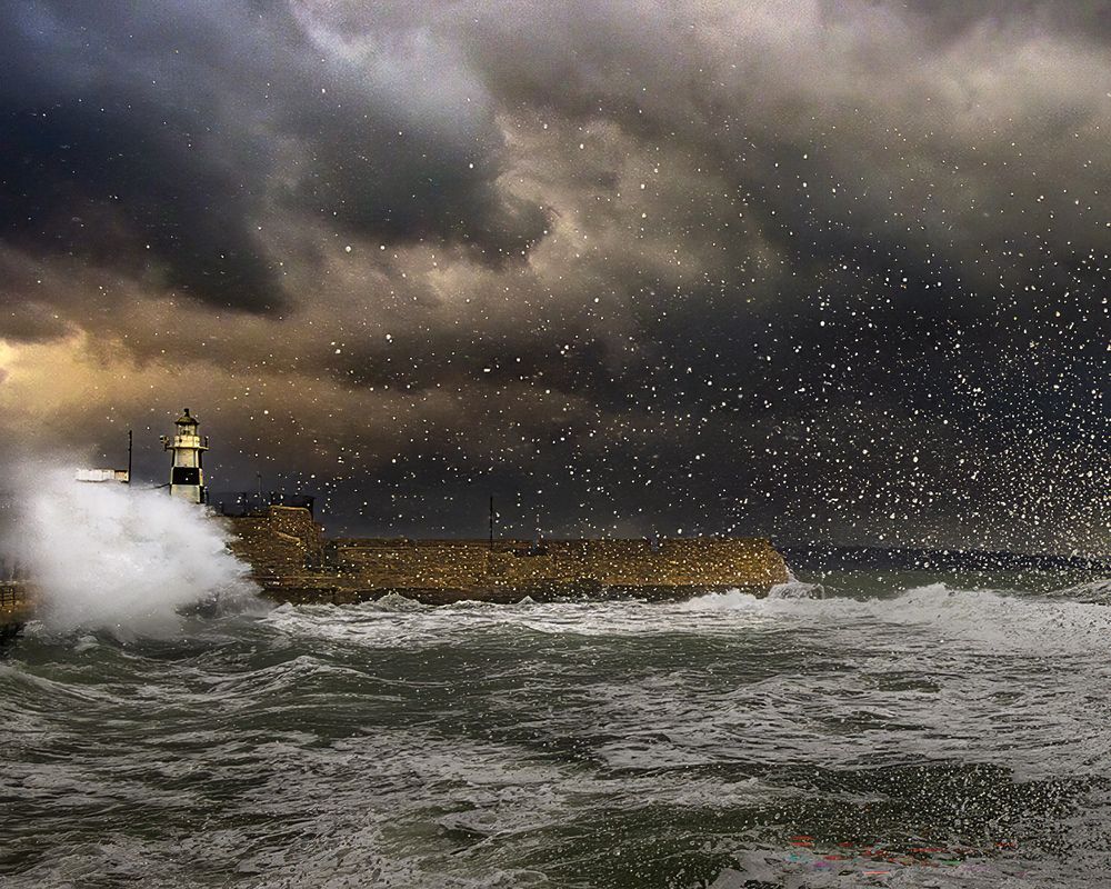 Photograph by Lev Tsenter