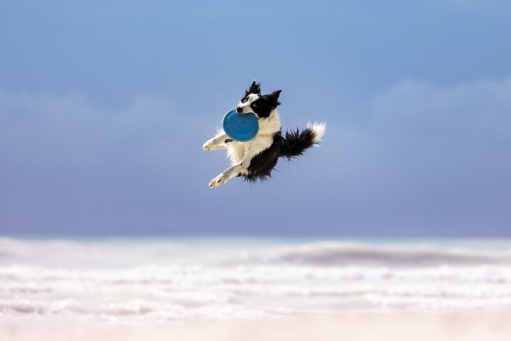 Photograph by Alessandro Grandoni