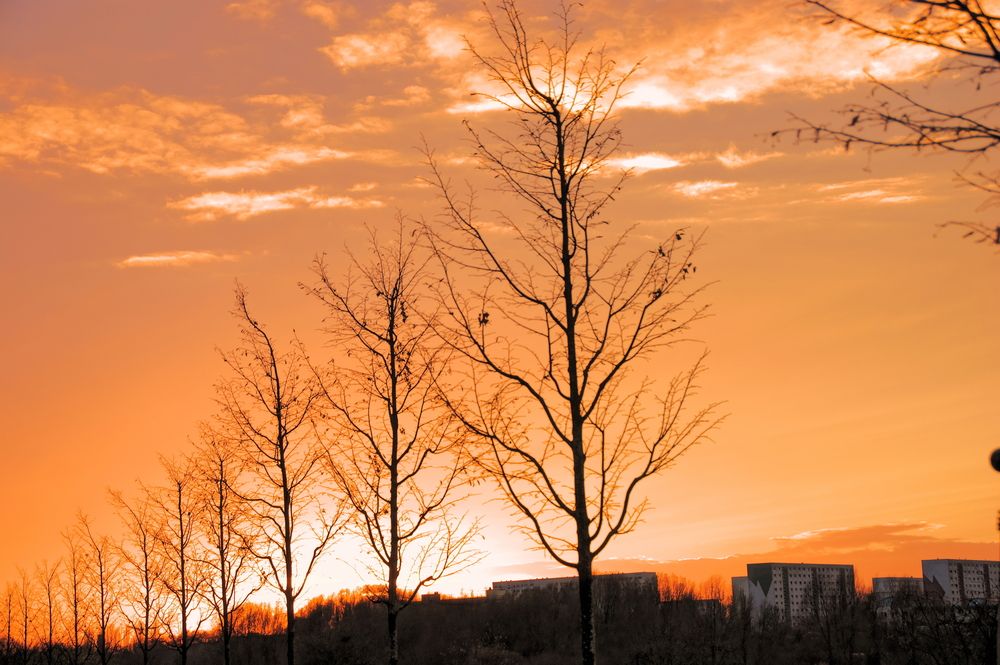 Photograph by Sergej Roor