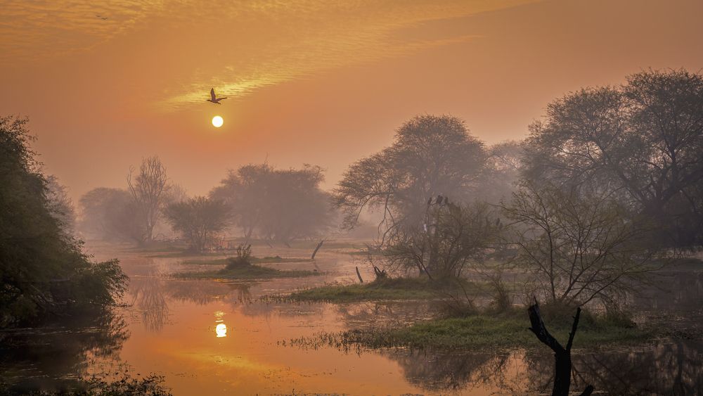 Photograph by Ashit Gandhi