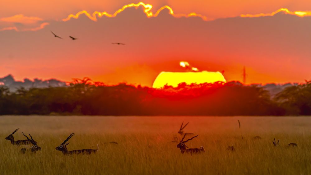 Photograph by Ashit Gandhi