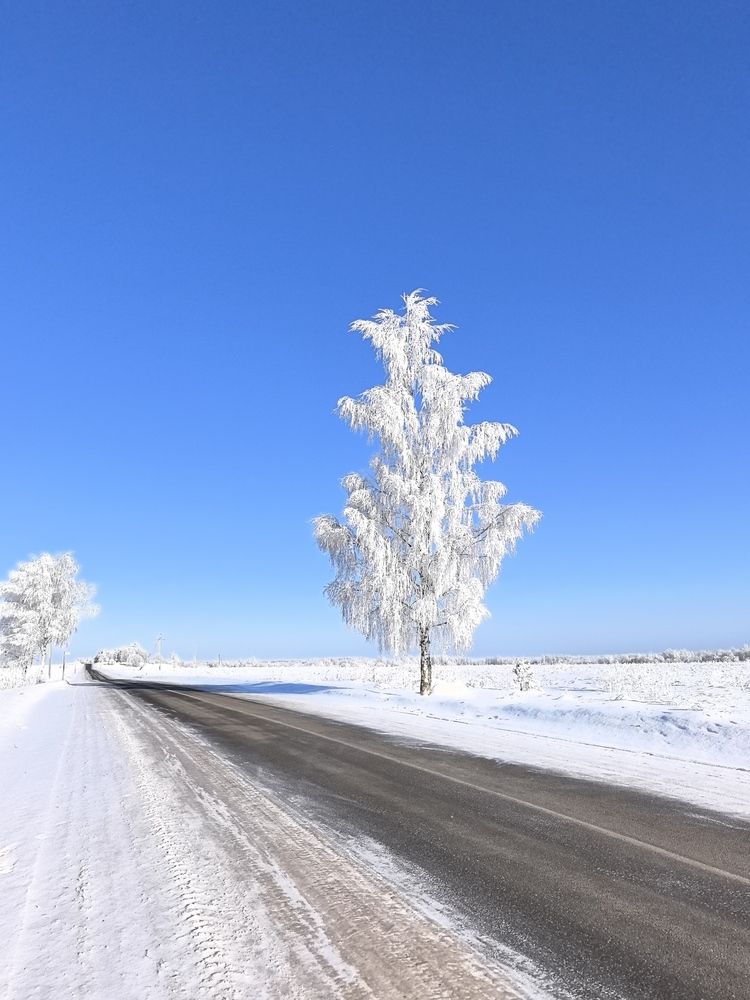 Зимнее одиночество