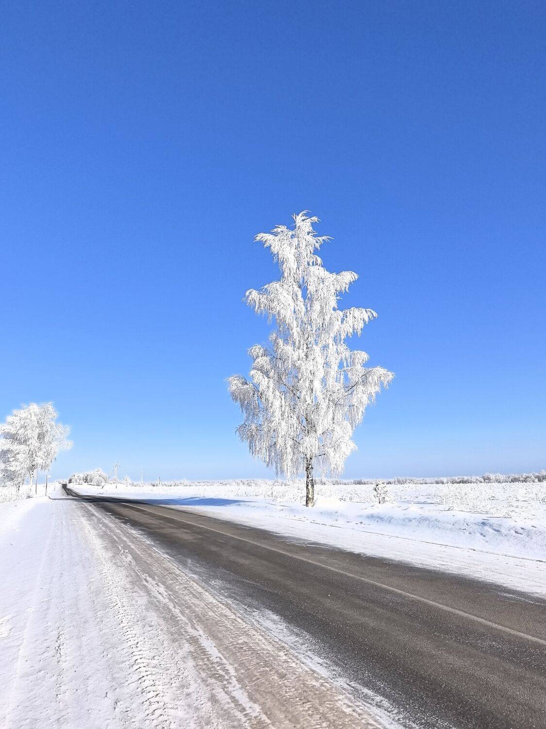 Зимнее одиночество
