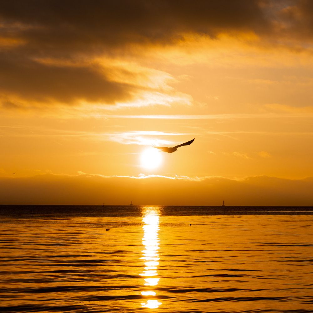 Photograph by Юлия Алексейчикова