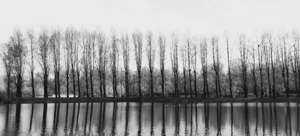 Photograph by Андрей Безгин