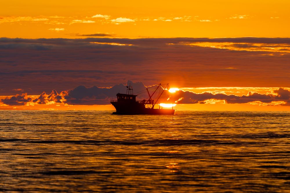 Photograph by Siarhei Saladukhin