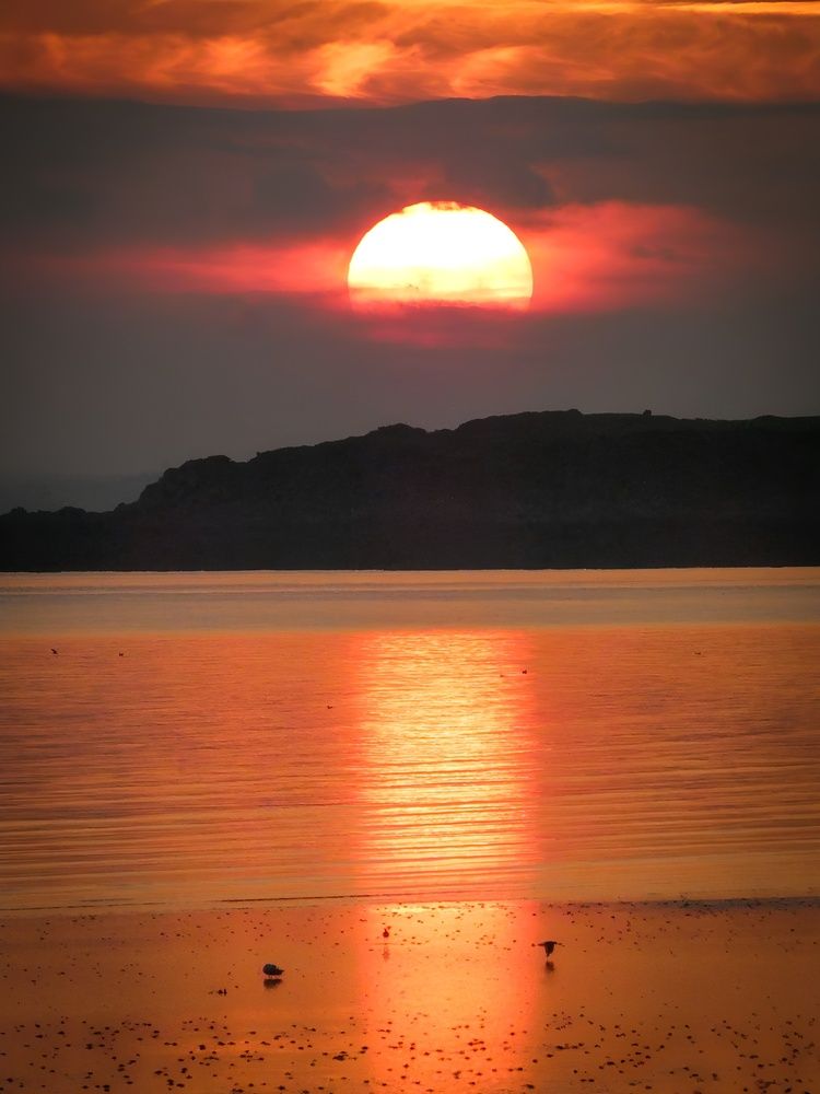 Photograph by Michael Gault