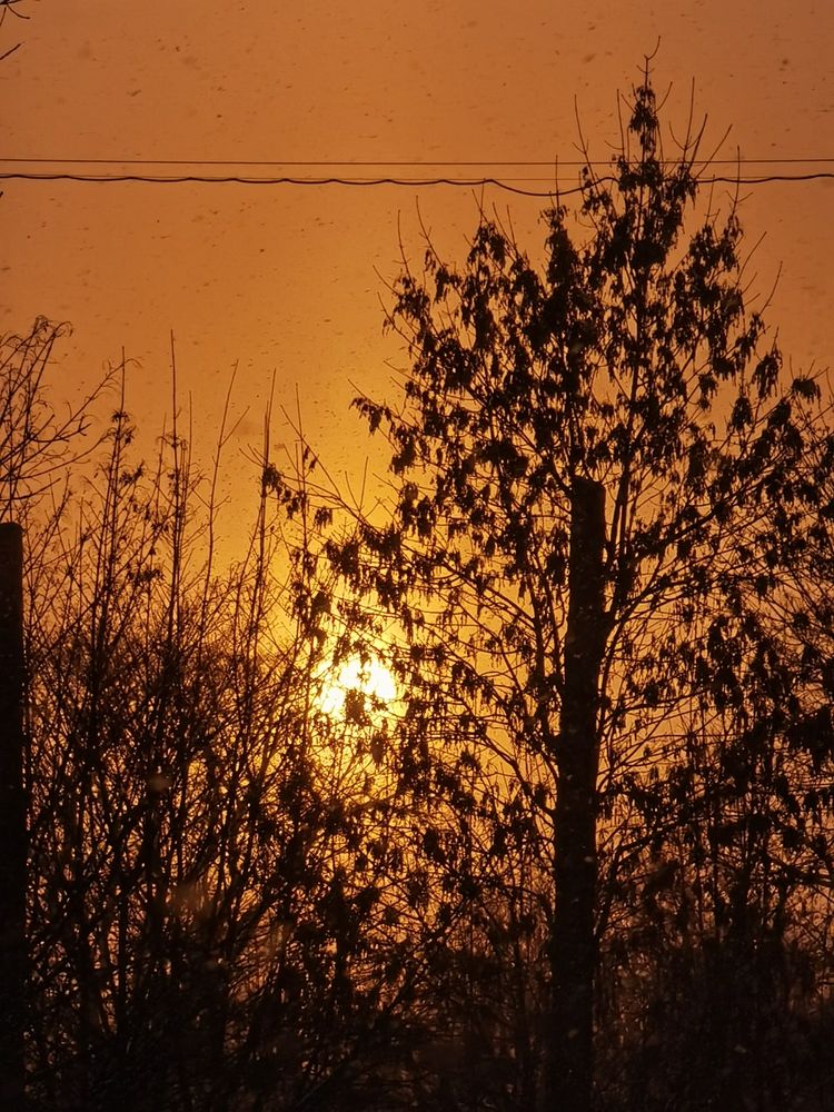 Photograph by Виталий Кореньков