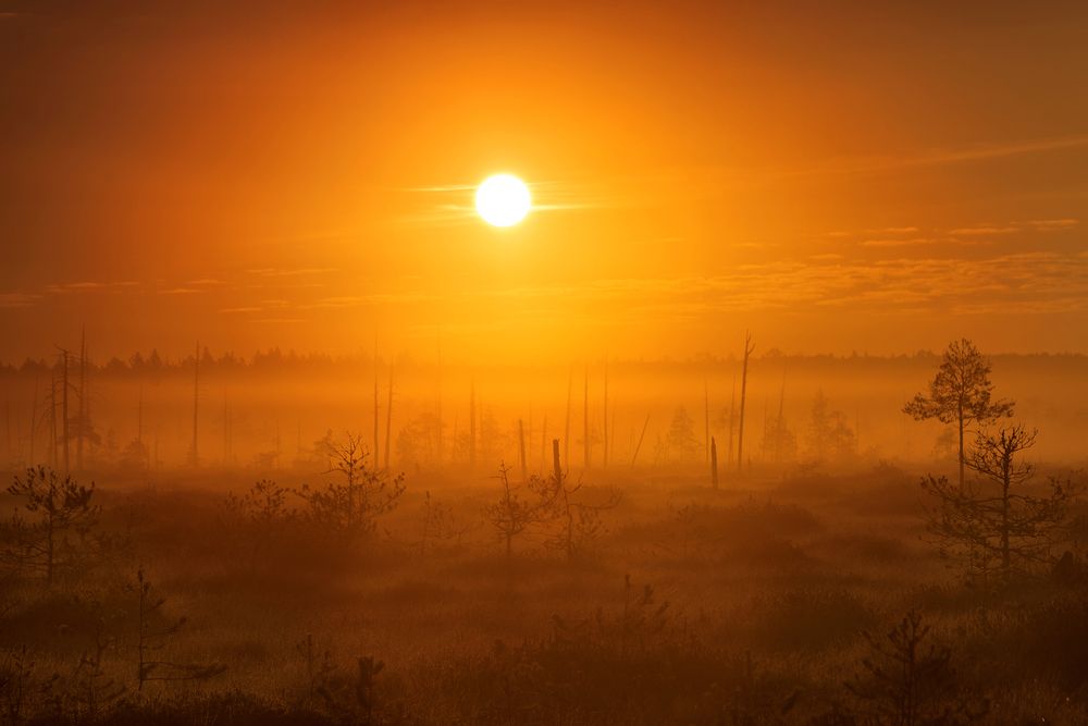 Photograph by Елена Соколова