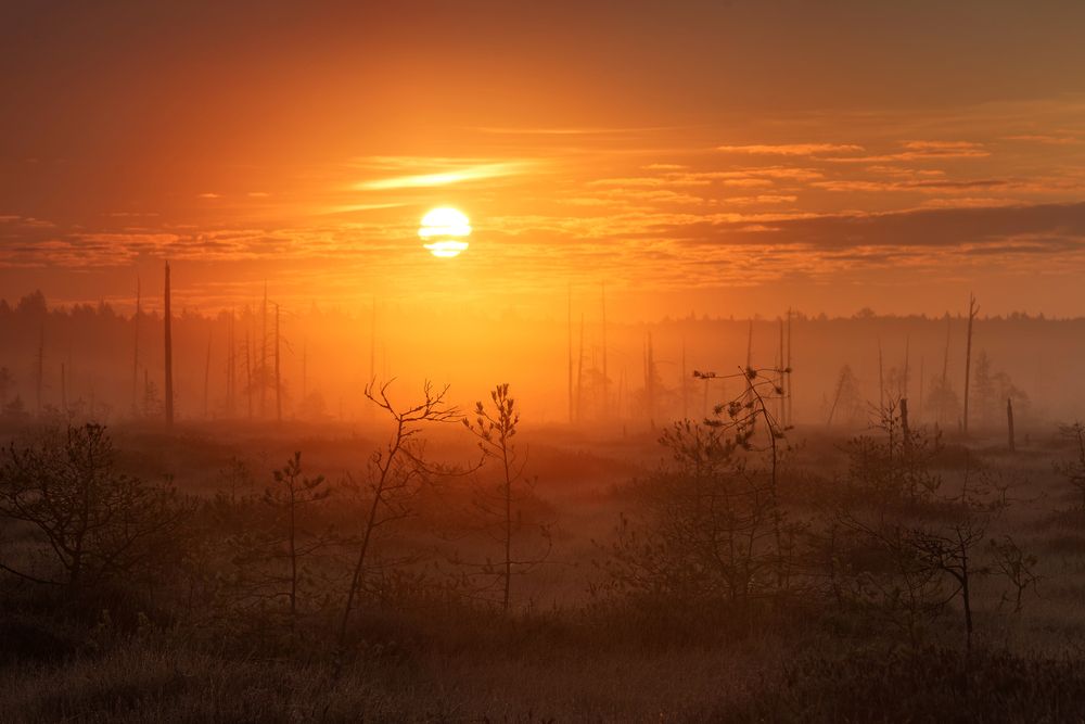 Photograph by Елена Соколова
