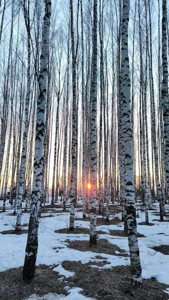 Photograph by ANDREY PERESHEIN