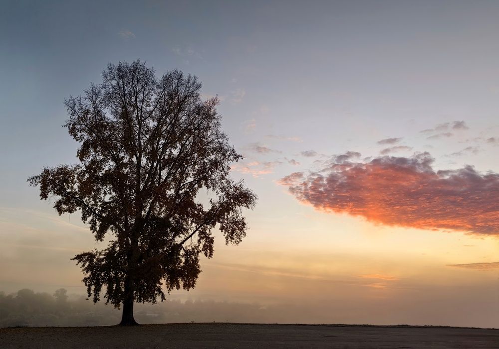 Photograph by Maiya Bulatova