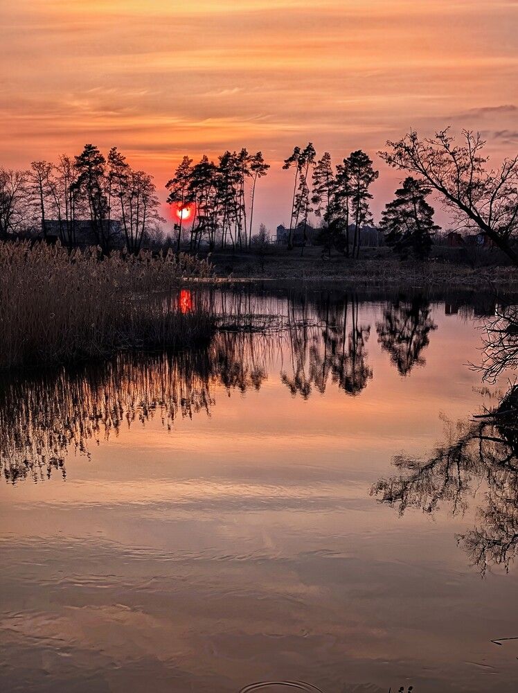 Photograph by Любовь Колмакова