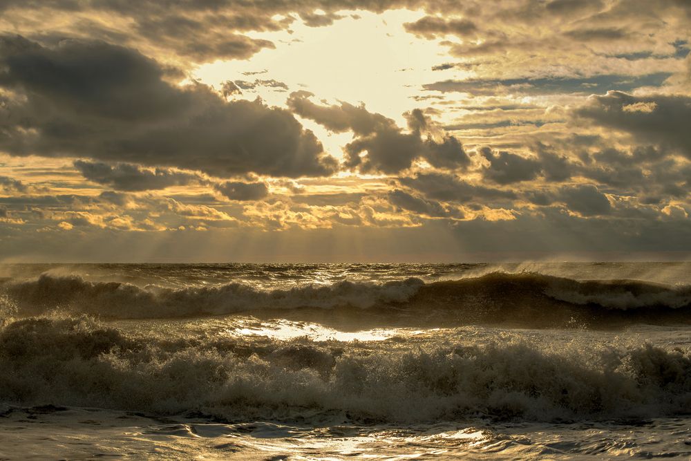 Золотой шторм