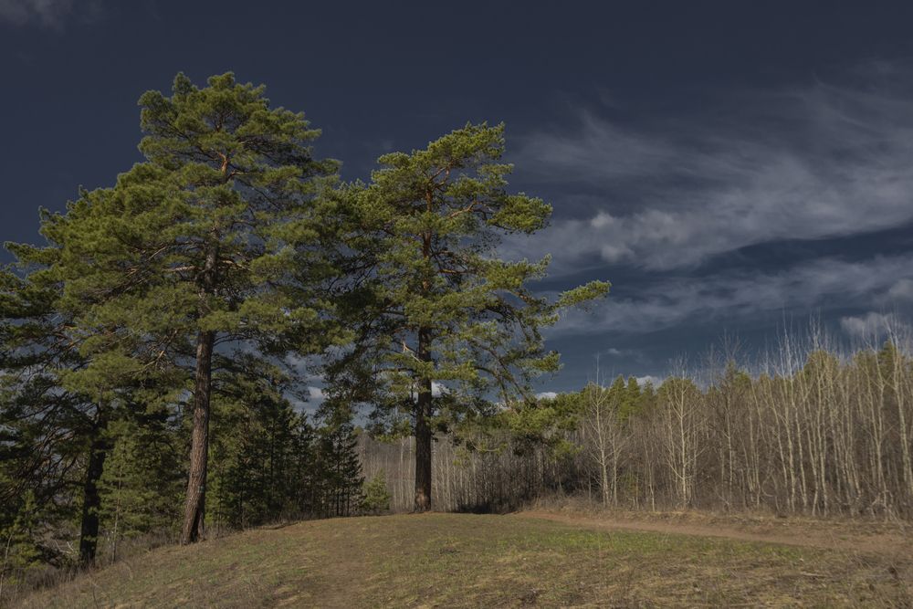 Photograph by Валерий Богачев