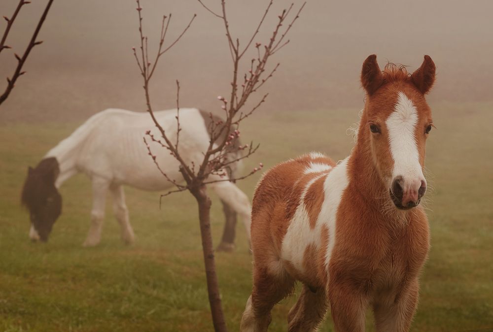 Photograph by Елена Звягина