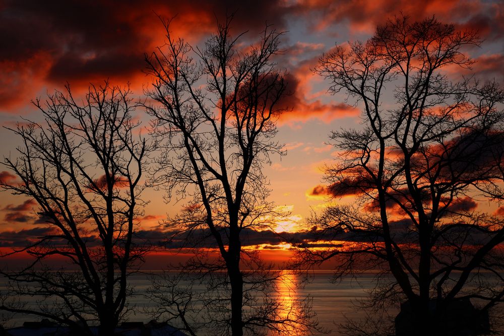 Photograph by Елена Звягина